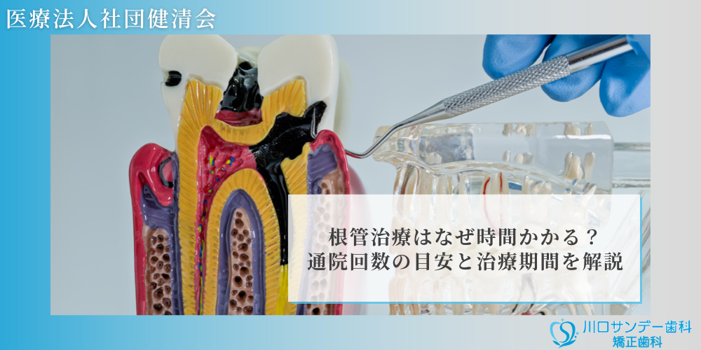 根管治療はなぜ時間かかる？通院回数の目安と治療期間を解説